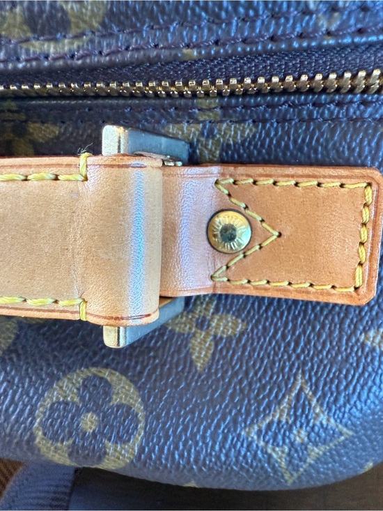 Louis Vuitton Monogram Canvas Travel Case in Brown and Gold Trim